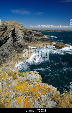 Falaises d'Anglesey, Porth Dafarch Banque D'Images