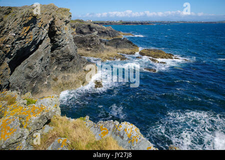 Falaises d'Anglesey, Porth Dafarch Banque D'Images