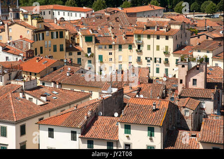 La Piazza dell'Anfiteatro suivant la forme de l'ancien amphithéâtre romain à Lucca, Toscane, Italie. 3 août 2016 © Wojciech Strozyk / Alamy Stock Phot Banque D'Images