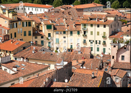 La Piazza dell'Anfiteatro suivant la forme de l'ancien amphithéâtre romain à Lucca, Toscane, Italie. 3 août 2016 © Wojciech Strozyk / Alamy Stock Phot Banque D'Images