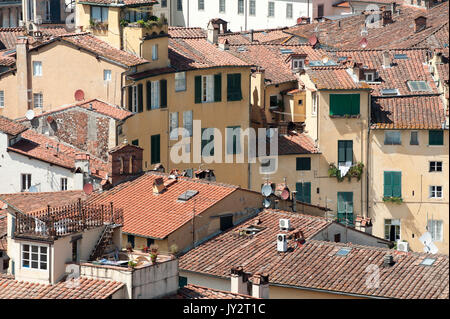 La Piazza dell'Anfiteatro suivant la forme de l'ancien amphithéâtre romain à Lucca, Toscane, Italie. 3 août 2016 © Wojciech Strozyk / Alamy Stock Phot Banque D'Images