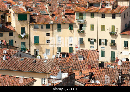 La Piazza dell'Anfiteatro suivant la forme de l'ancien amphithéâtre romain à Lucca, Toscane, Italie. 3 août 2016 © Wojciech Strozyk / Alamy Stock Phot Banque D'Images