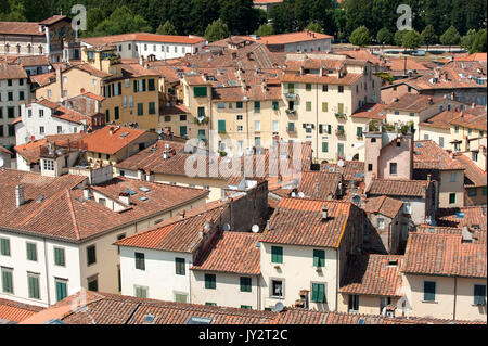 La Piazza dell'Anfiteatro suivant la forme de l'ancien amphithéâtre romain à Lucca, Toscane, Italie. 3 août 2016 © Wojciech Strozyk / Alamy Stock Phot Banque D'Images