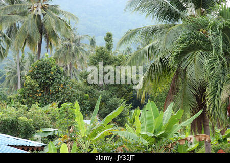 Air Batang kampung Tioman Malaisie Banque D'Images