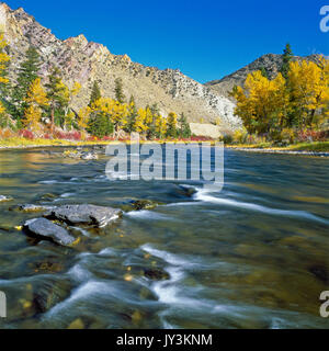 Couleurs d'automne le long de la rivière grand trou près de diviser, Montana Banque D'Images