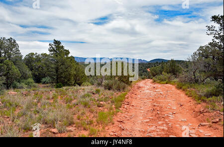 Sedona Offroad Trail Banque D'Images