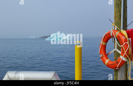 Les icebergs dans l'été à la côte Atlantique Ville de St. Lunaire-Griquet à l'extrémité nord de la péninsule Great Northern, à Terre-Neuve, Canada Banque D'Images