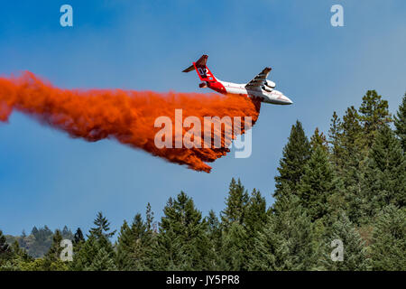 Avions de soutien de l'air laissant tomber sur retardateur de feu sauvage Crédit : Kathryn Capaldo/Alamy Live News Banque D'Images