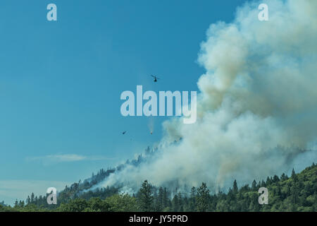 Avions de soutien de l'air laissant tomber sur retardateur de feu sauvage Crédit : Kathryn Capaldo/Alamy Live News Banque D'Images