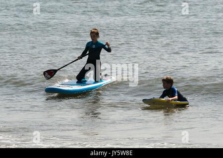 Lyme Regis, dans le Dorset, UK. 19 août 2017. Météo britannique. Paddleboarders le soleil brille et les températures chaudes, sur l'eau à la station balnéaire de Lyme Regis dans le Dorset. Crédit photo : Graham Hunt/Alamy Live News Banque D'Images