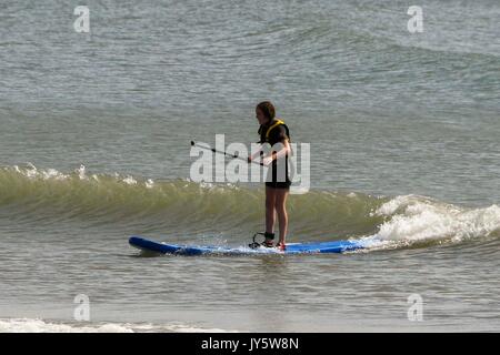 Lyme Regis, dans le Dorset, UK. 19 août 2017. Météo britannique. Paddleboarders le soleil brille et les températures chaudes, sur l'eau à la station balnéaire de Lyme Regis dans le Dorset. Crédit photo : Graham Hunt/Alamy Live News Banque D'Images