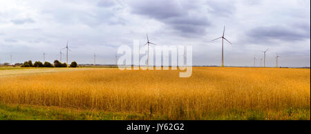 Wind turbine entre les oreilles d'or de cultures de céréales. La récolte de blé les oreilles. Les cultures se sont réunis sur le domaine d'exploitation agricole. Moulin turbine est l'environnement Banque D'Images