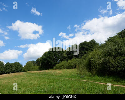 Parc Balmore, Caversham, Reading, Berkshire, Angleterre Banque D'Images