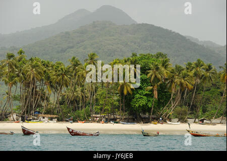 SIERRA LEONE, excursion en bateau le long de la côte de l'océan Atlantique, du River no 2 à Tombo, village de pêcheurs, derrière des aires forestières et de la nature de la péninsule de l'Ouest, village de pêcheurs à petite échelle et de l'autre pêcheur avec bateau en bois Banque D'Images