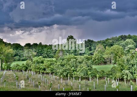 Thunder clouds moving dans plus de la ferme Banque D'Images