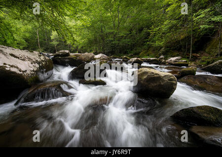 La broche du milieu de la petite rivière est formée par la confluence de Lynn et grade camp prong prong et un autre flux 6 miles jusqu'à ce qu'il se jette dans la petite rivière. l'ensemble du bassin versant du Moyen prong est vaguement connu sous le nom de tremont. la petite rivière est d'environ 60 milles de long et très pittoresque. Il commence dans le parc national Great Smoky et finalement se jette dans la rivière Tennessee à fort loudon lake. Banque D'Images