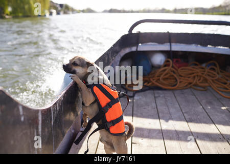 Il porte un gilet de sauvetage en bateau sur la rivière permanent Banque D'Images