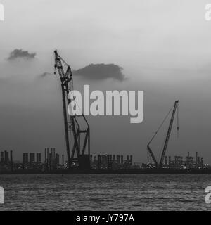 Port maritime de DUBAÏ, ÉMIRATS ARABES UNIS. Silhouette de grues sur le fond de ciel Banque D'Images