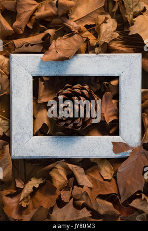 Vue de dessus de cône de pin au milieu de feuilles séchées sur châssis Banque D'Images