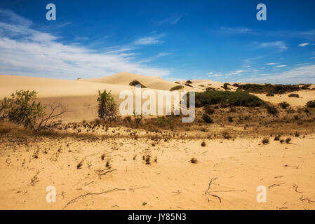 Dunes de sable dans le parc national de Mungo, New South Wales, Australie Banque D'Images