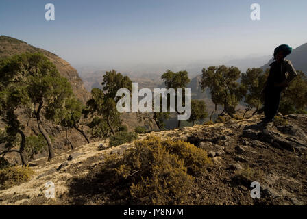 Parc national des montagnes du Simien, armed scout à la vue, à l'Éthiopie, 3260m 10,700ft de haut, bord de l'escarpement près de Ras Buyit Banque D'Images