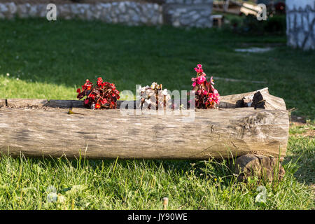 Pot en bois coloré de fleurs sur l'herbe Banque D'Images