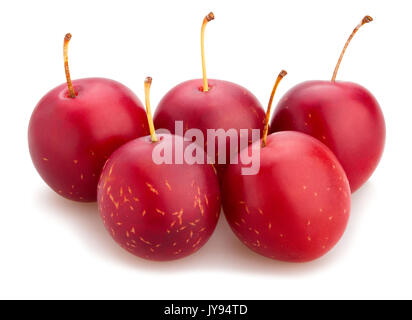 Cherry Plum isolé chemin Banque D'Images