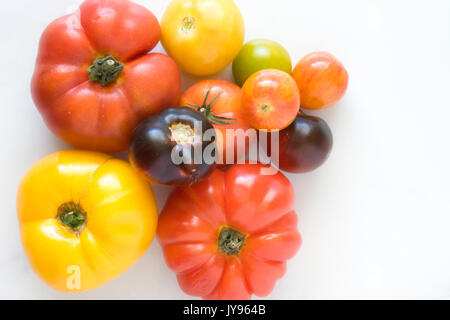 Lycopersicon esculentum. Des tomates du patrimoine. Banque D'Images