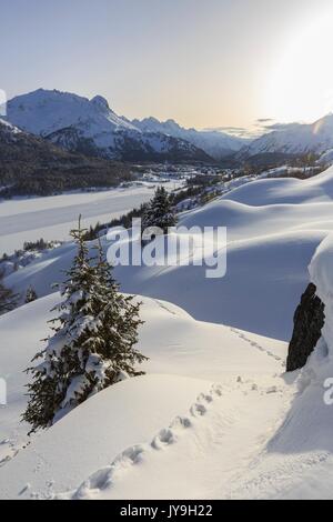 L'empreinte de la raquette dans la neige profonde après une importante chute de neige au col majola. canton des Grisons suisse engadine.. l'Europe. Banque D'Images