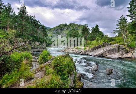 L'été pittoresque paysage de montagne avec fleuve bouillonnant rapide entre les rives rocheuses couvertes de forêts et ciel dramatique - les montagnes de l'Altaï, Rus Banque D'Images