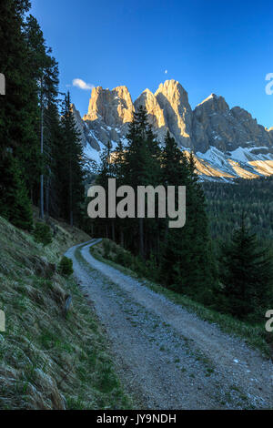 Le groupe des Odle vues de Gampen Malga à l'aube. Funes Valley. Dolomites Tyrol du Sud Italie Europe Banque D'Images
