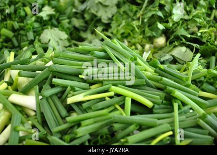 Oignons verts coupés en dés sont utilisés dans les soupes, nouilles et plats de fruits de mer, ainsi que des sandwiches, currys ou dans le cadre d'un sauté. Banque D'Images