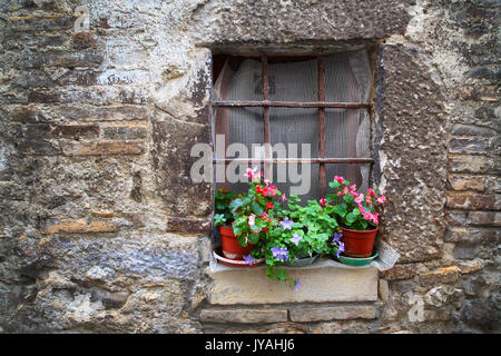 Les pots de fleurs sur un appui de fenêtre dans la région Vénétie en Italie. Banque D'Images