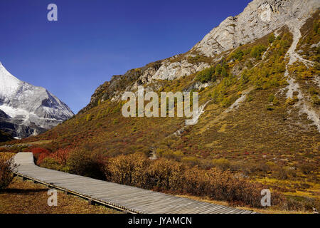 Shangri La, vue du mur de montagne avec du vert-jaune les arbres d'automne en vallée et sentier en bois à Yading niveau national reserve, Daocheng Sichuan, Pro Banque D'Images