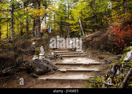 Shangri La, escaliers en passant par forest rempli de jaune vert rouge les arbres d'automne et de petits drapeaux au niveau national dans la vallée de Yading, Daocheng Banque D'Images