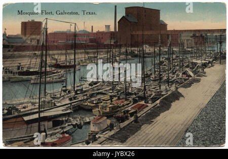 La flotte de moustique, Galveston, Texas. Banque D'Images