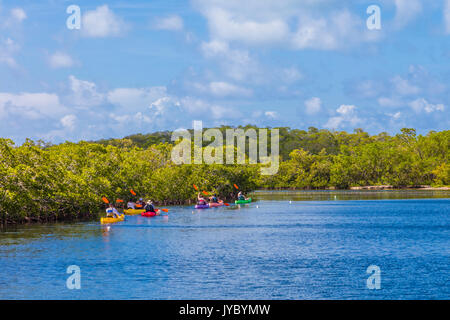 Personnes en kayak John Pennekamp State Parkin Key Largo dans les Florida Keys. Banque D'Images