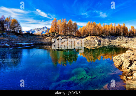 Les mélèzes jaunis se reflètent dans les eaux turquoise de Blue Lake non loin de Madesimo la principale station touristique dans la vallée. Vallée cf alpina. Va Banque D'Images