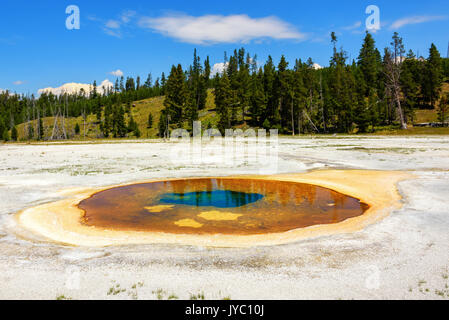 Piscine chromatique dans la partie supérieure du bassin du geyser. Il est relié à la piscine. beauté à proximité du parc national de Yellowstone, États-Unis Banque D'Images