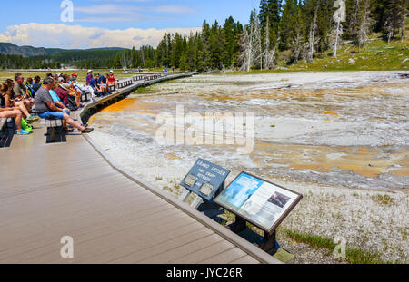 Les touristes sont en attente de la grande éruption de geysers du parc national de Yellowstone. Banque D'Images