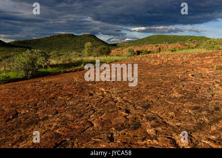 Ferme Otjihaémaparero (parcours des dinosaures de la ferme): Surface de grès érodé et résisté à l'eau, saison des pluies, district d'Otjiwarongo, Namibie Banque D'Images