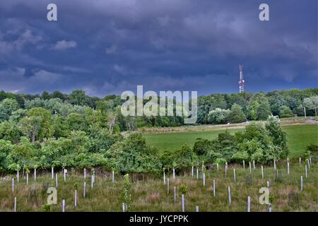 Dark thunder clouds over farmland Banque D'Images