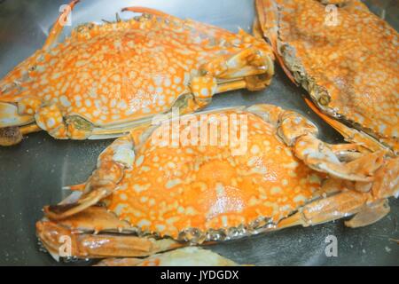 Une cuisine traditionnelle et de l'alimentation, à la vapeur de crabe bleu. L'un des plus célèbres dans le monde de la mer. Banque D'Images