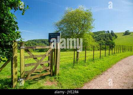 Une barrière en bois au début du vignoble à pied à Sharpham, Devon, England, UK Banque D'Images