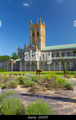Le jardin de lavande à l'église de l'abbaye de St Mary à l'abbaye de Buckfast (terminé en 1938), un monastère bénédictin de Totnes, Devon, England, UK Banque D'Images