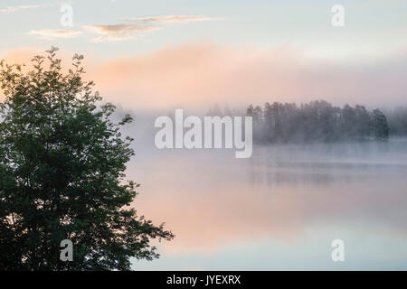 Brume matinale sur le lac Banque D'Images