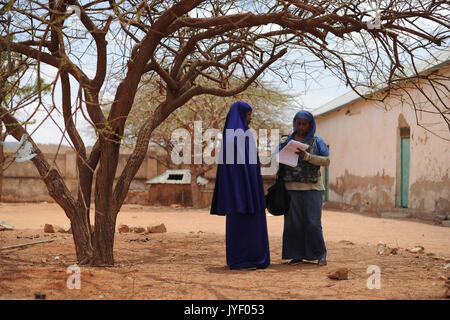 Un membre de l'unité de l'AMISOM humanitaire entrevue d'un agent de santé local dans Garbahaarey ville dans la région de Gedo en Somalie le 11 août. L'AMISOM Unité Humanitaire aujourd'hui a effectué une évaluation de (14700949679) Banque D'Images