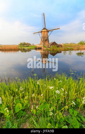 Moulin reflète dans le canal encadrée par l'herbe et ciel rose à l'aube molenwaard kinderlijk South Holland aux Pays-Bas l'Europe Banque D'Images