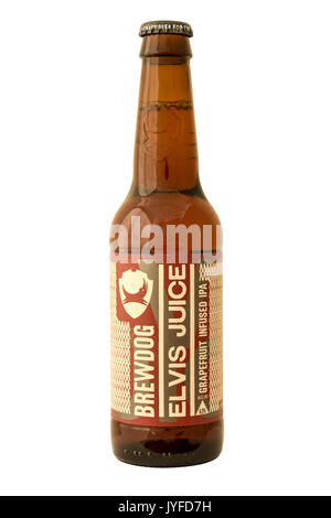 Brasserie Brewdog - Jus de pamplemousse infusé d'Elvis (IPA) la bière en bouteille. Banque D'Images