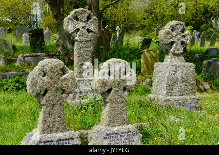 Croix en pierre avec les lichens, cimetière de Landewednack, lézard, péninsule du Lézard, Cornwall, Angleterre, Royaume-Uni Banque D'Images